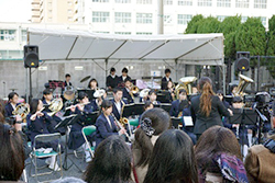 image1.jpeg